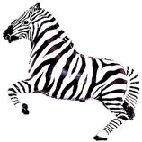 И 14 Зебра (черная) / Zebra / 1 шт / (Испания)